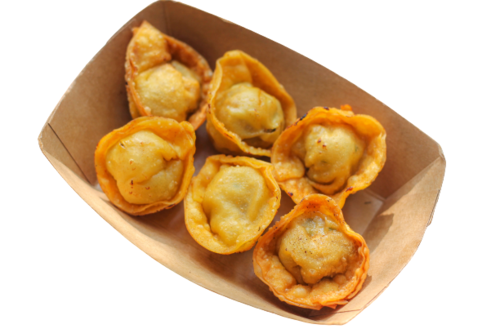 Wontons